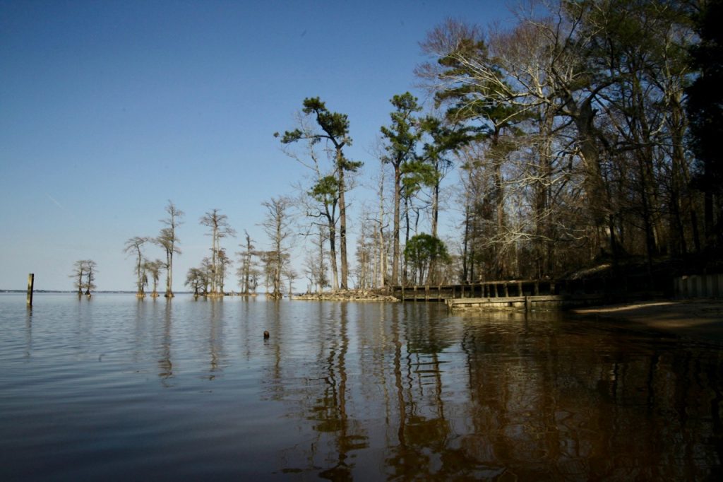 The Albemarle Sound & the Bald Eagles (North Carolina) - Just a little tour